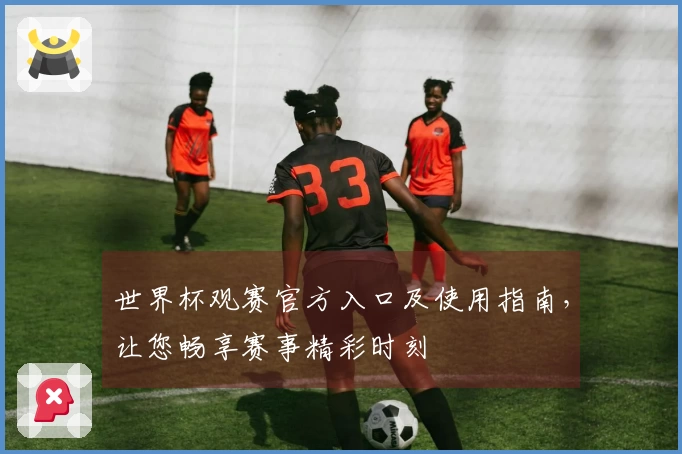世界杯观赛官方入口及使用指南,让您畅享赛事精彩时刻