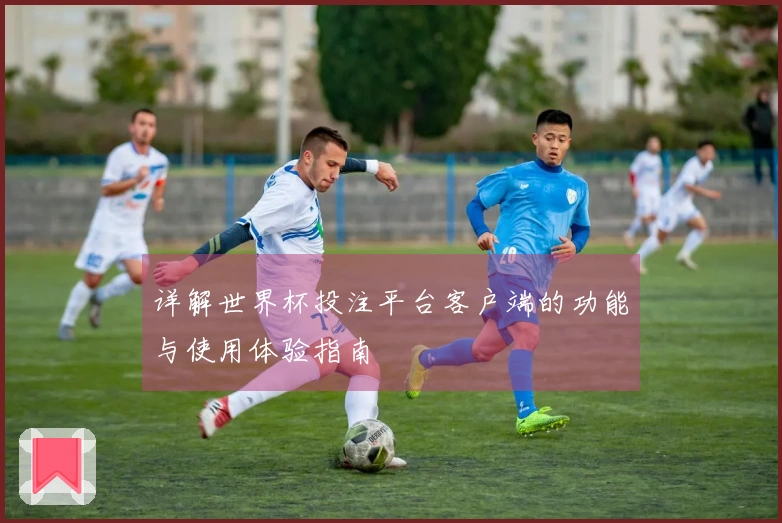 详解世界杯投注平台客户端的功能与使用体验指南