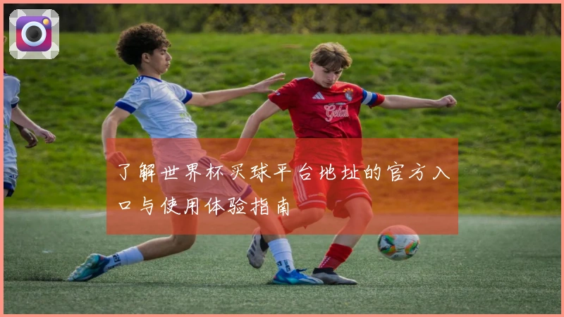 了解世界杯买球平台地址的官方入口与使用体验指南