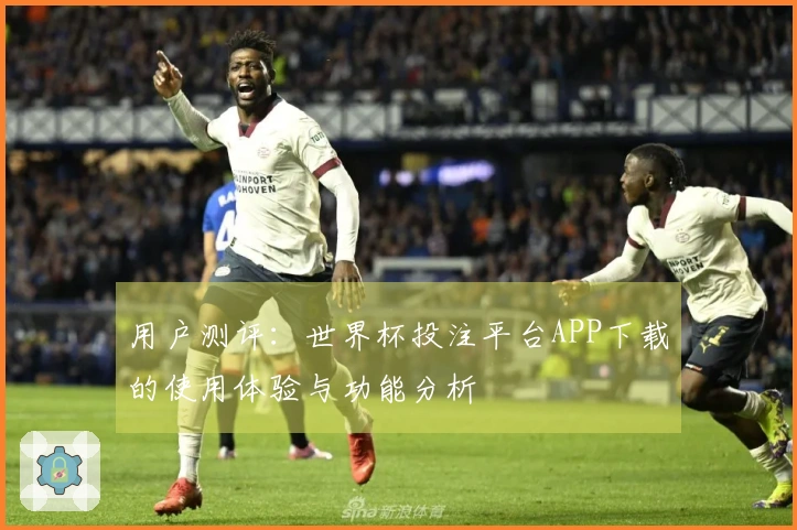 用户测评：世界杯投注平台APP下载的使用体验与功能分析