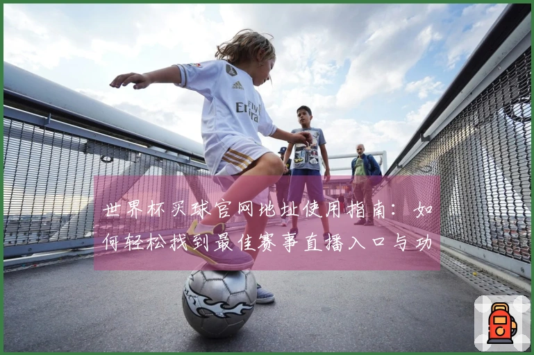 世界杯买球官网地址使用指南：如何轻松找到最佳赛事直播入口与功能介绍