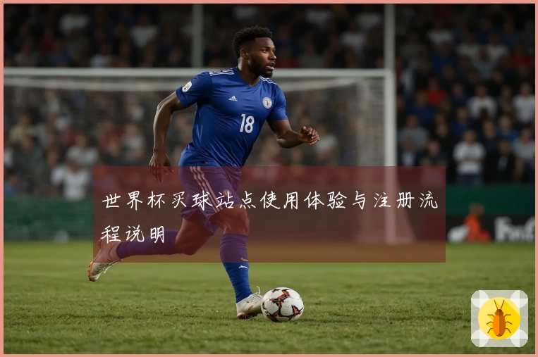 世界杯买球站点使用体验与注册流程说明
