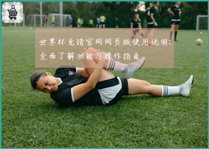 世界杯竞猜官网网页版使用说明：全面了解功能与操作指南