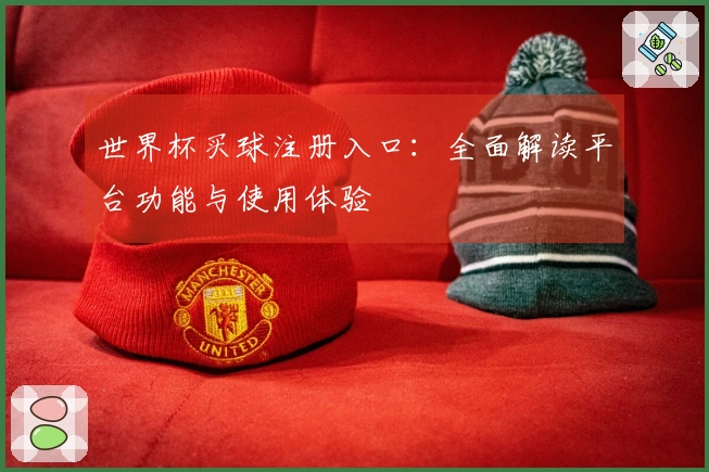 世界杯买球注册入口：全面解读平台功能与使用体验