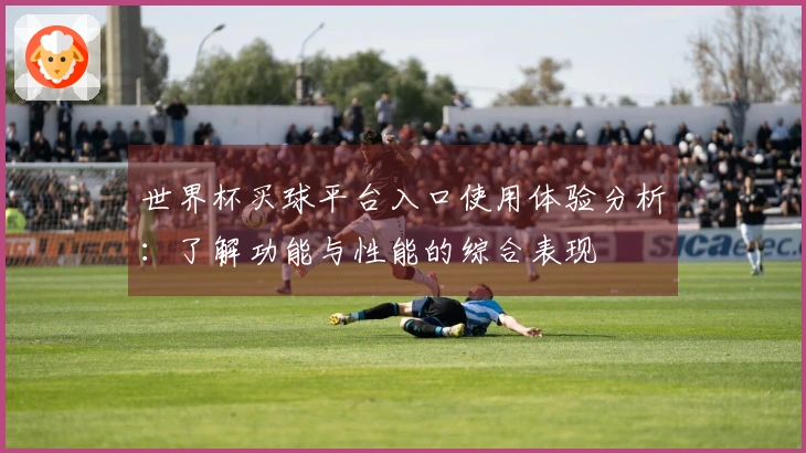 世界杯买球平台入口使用体验分析：了解功能与性能的综合表现