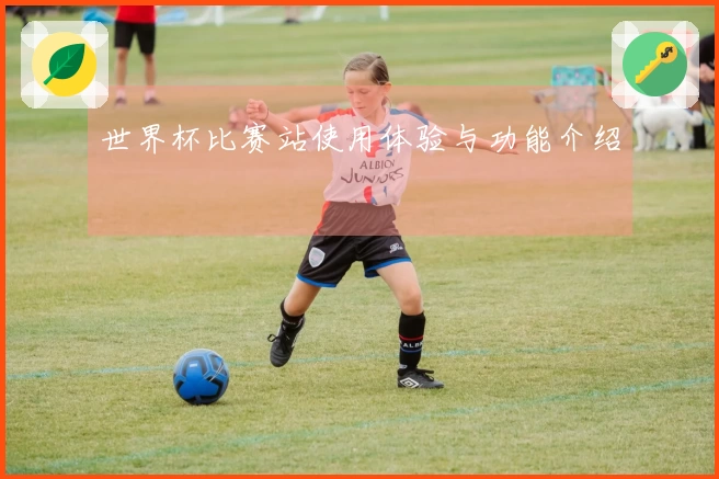 世界杯比赛站使用体验与功能介绍