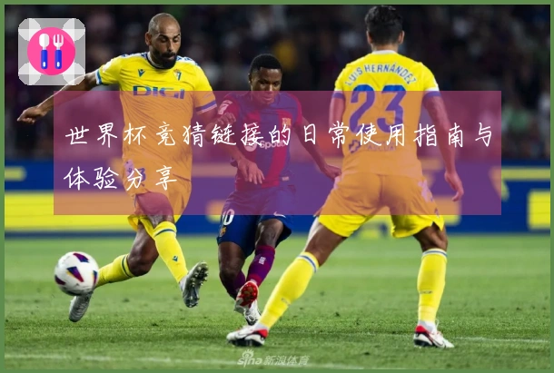 世界杯竞猜链接的日常使用指南与体验分享