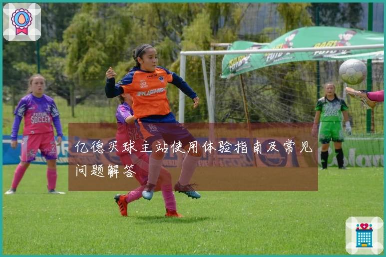 亿德买球主站使用体验指南及常见问题解答