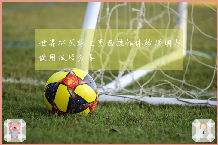 世界杯买球主页面操作体验说明与使用技巧分享