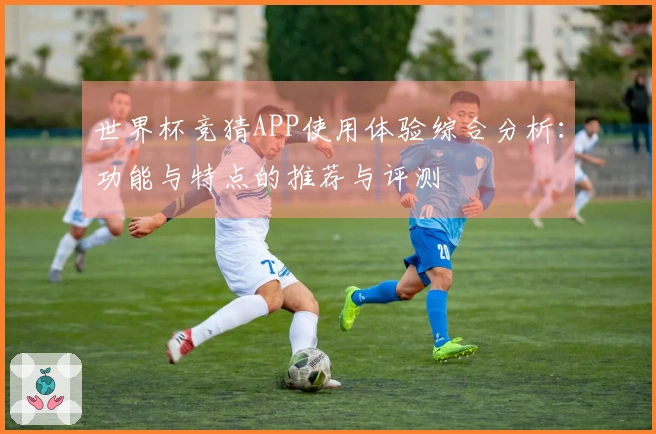 世界杯竞猜APP使用体验综合分析：功能与特点的推荐与评测