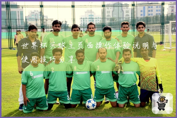 世界杯买球主页面操作体验说明与使用技巧分享