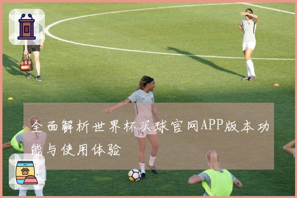 全面解析世界杯买球官网APP版本功能与使用体验