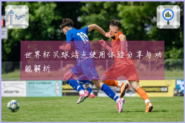 世界杯买球站点使用体验分享与功能解析
