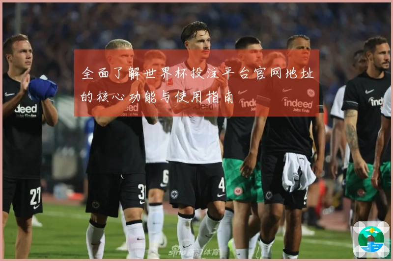 全面了解世界杯投注平台官网地址的核心功能与使用指南