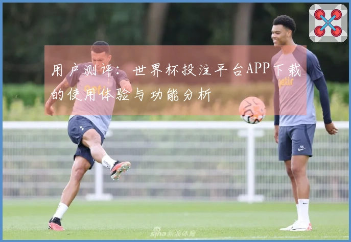 用户测评：世界杯投注平台APP下载的使用体验与功能分析