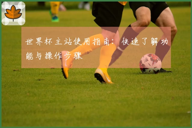 世界杯主站使用指南:快速了解功能与操作步骤