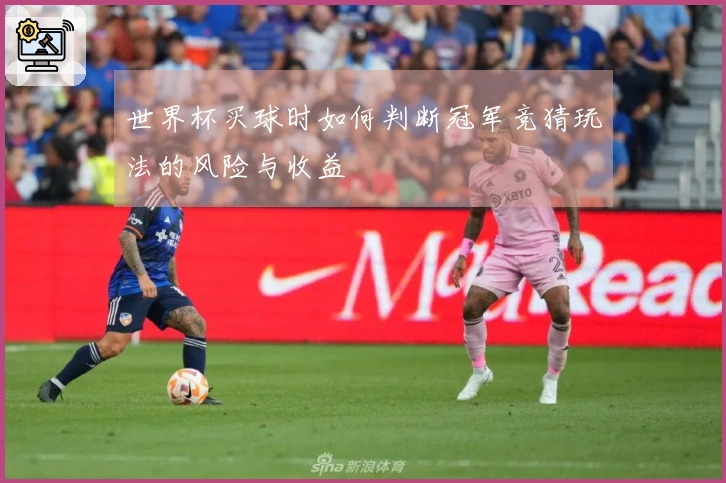 世界杯买球时如何判断冠军竞猜玩法的风险与收益