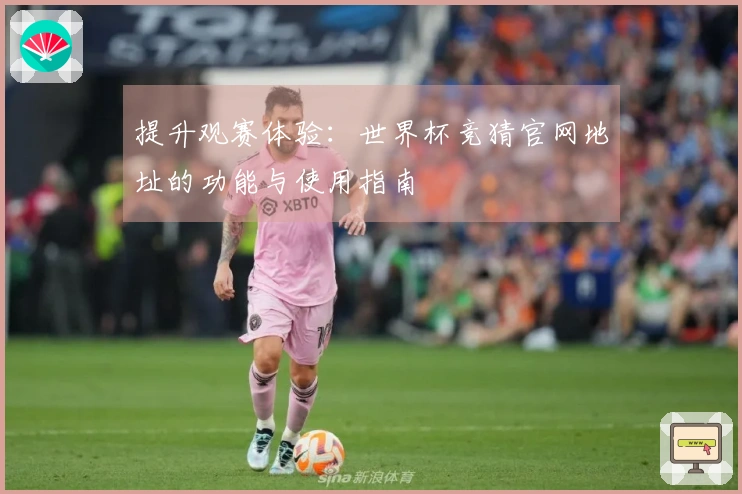 提升观赛体验：世界杯竞猜官网地址的功能与使用指南