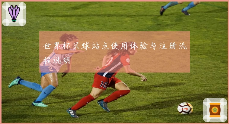 世界杯买球站点使用体验与注册流程说明